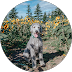 White dog sitting among yellow flowers with green trees in the background under clear blue sky.